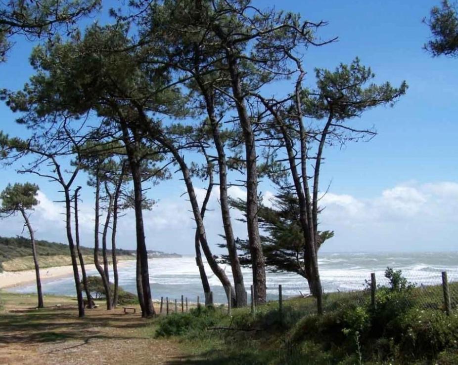 Holiday home L'essentiel - 5 Etoiles Talmont-Saint-Hilaire